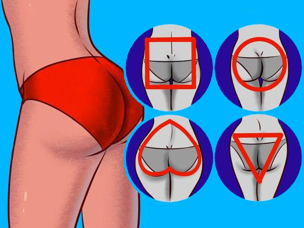 Kaj razkriva oblika zadnjice?